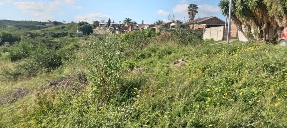 735 m² Land available in Scheepershoogte