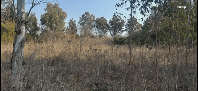 1 ha Land available in Randjesfontein AH