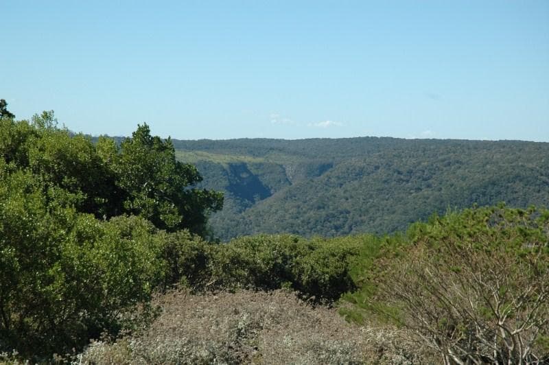 4 272 m² Land available in Pezula Private Estate