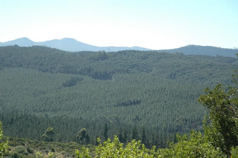 4 105 m² Land available in Pezula Private Estate