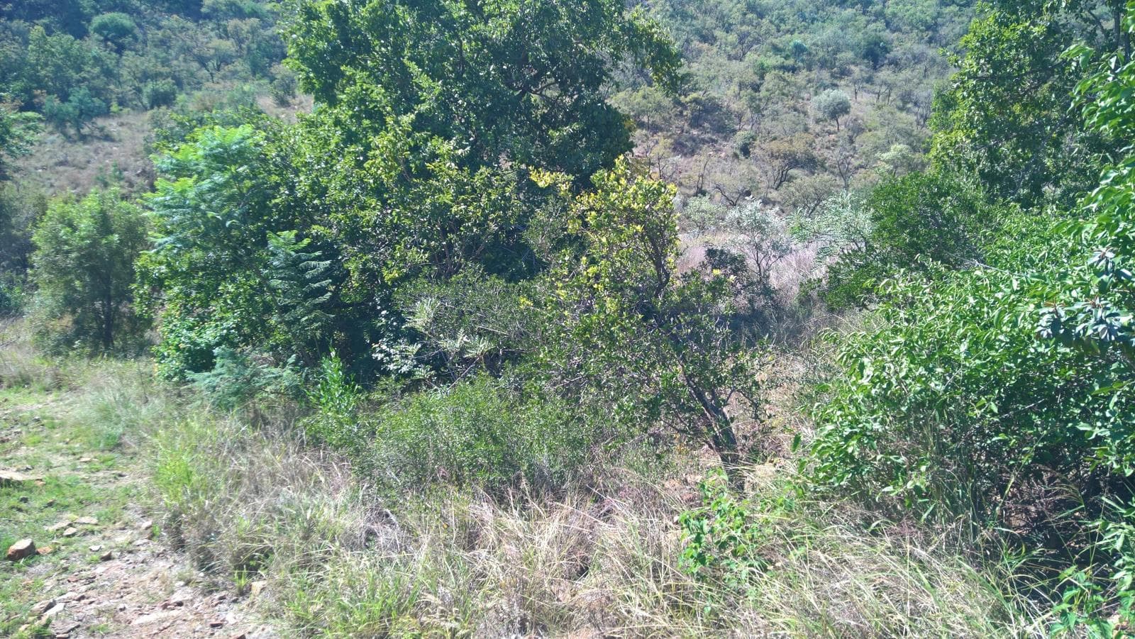 779 m² Land available in Port D Afrique