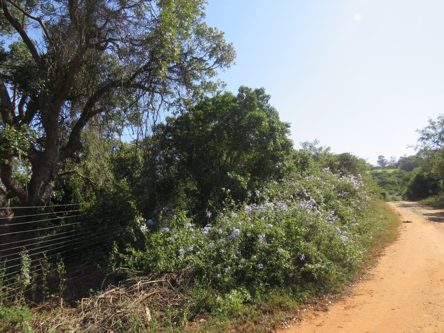 8 565 m² Land available in Bathurst