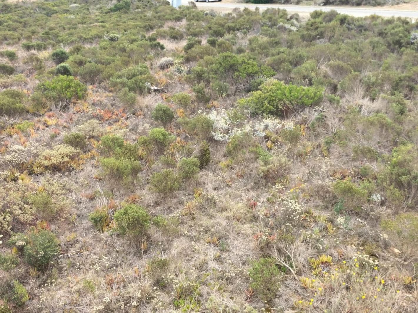 2 200 m² Land available in Mossel Bay Central