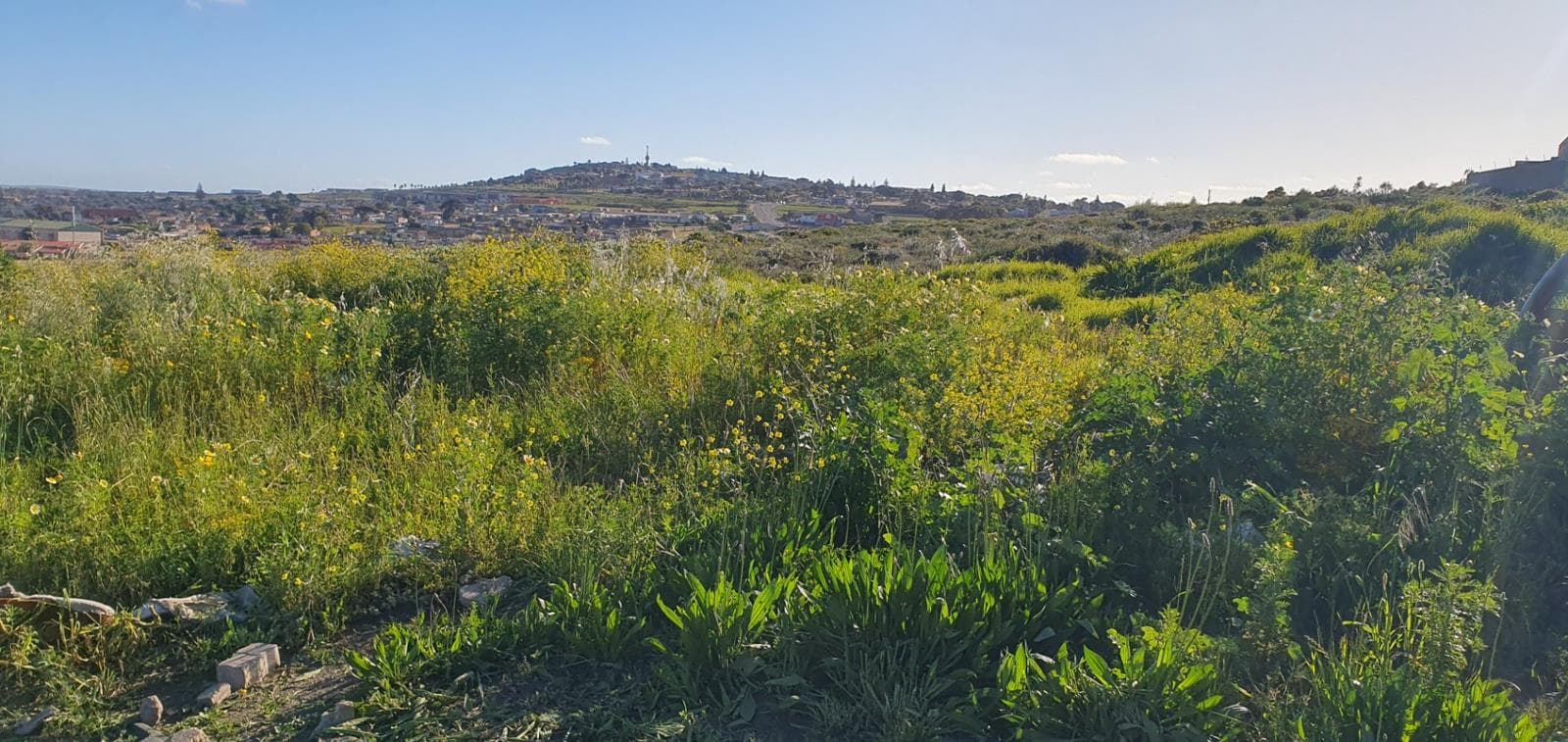 3 250 m² Land available in Vredenburg