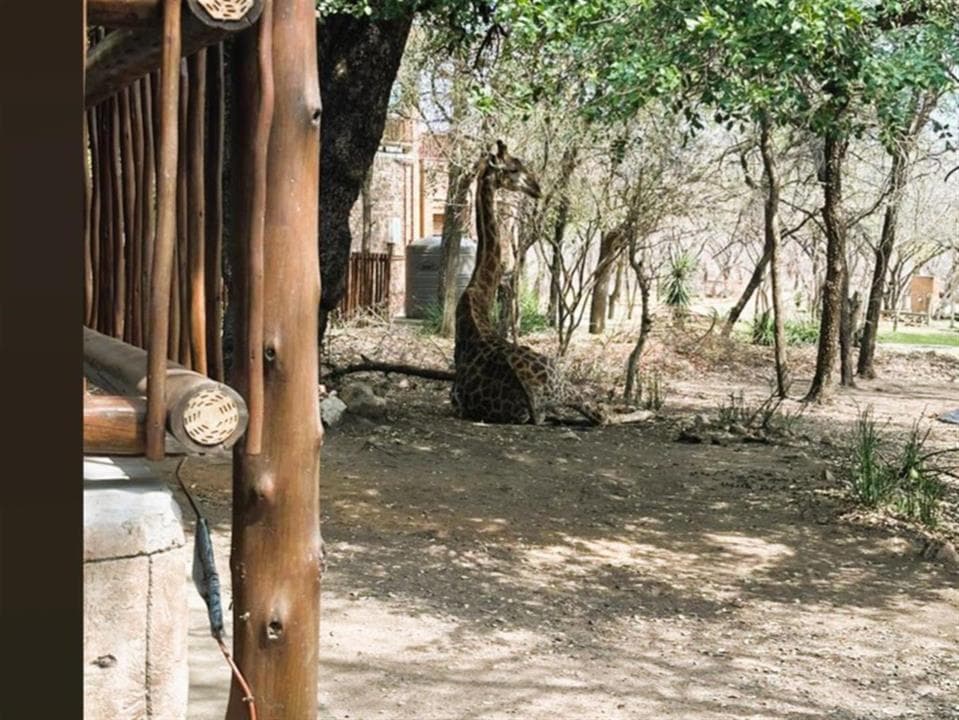 3 Bedroom House for sale in Marloth Park